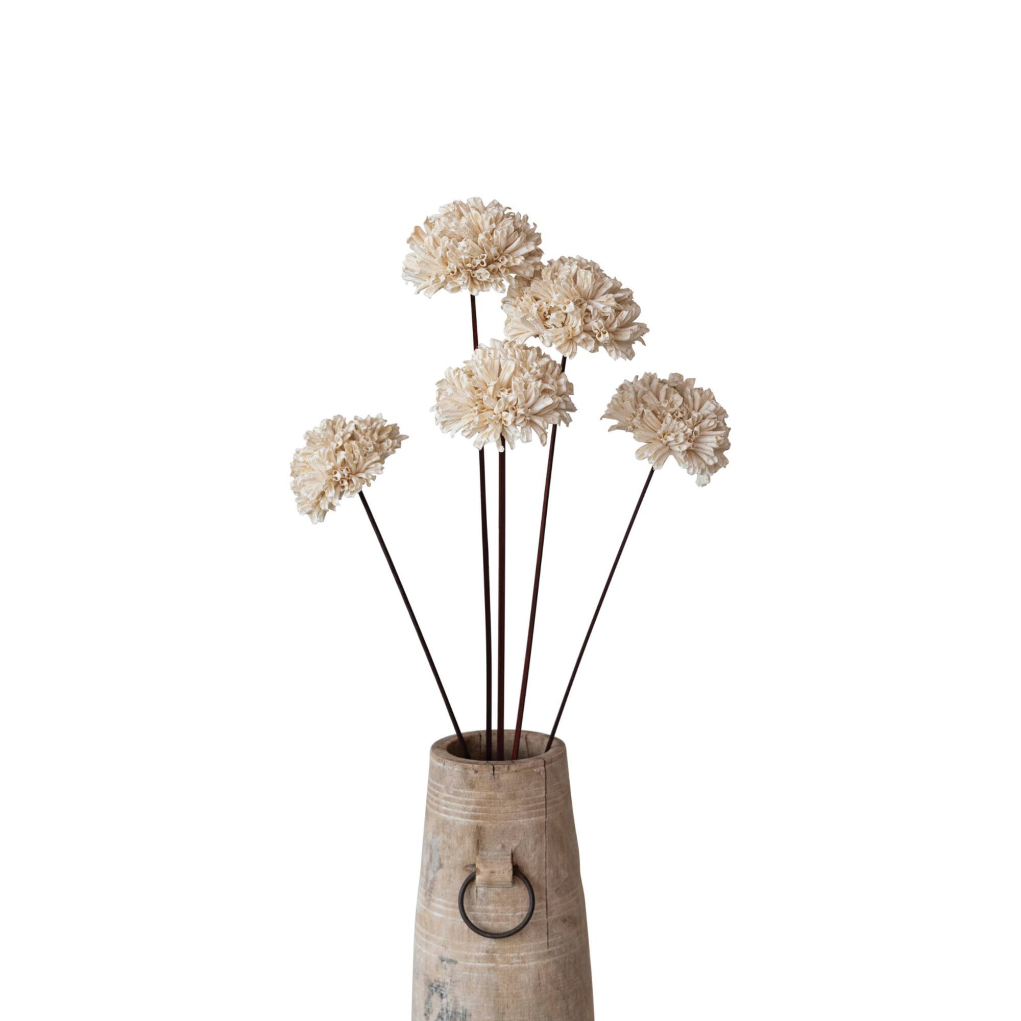 Hello Honey® 23.5" Dried Natural Sesame Flower Stems